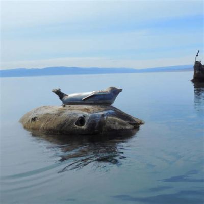  Baikal Sponge: An Invertebrate Marvel Thriving in the Cold Depths!