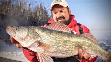  Walleye: ¿Un Maestro del Enigma Acuático con Vision Nocturna Extraordinaria?