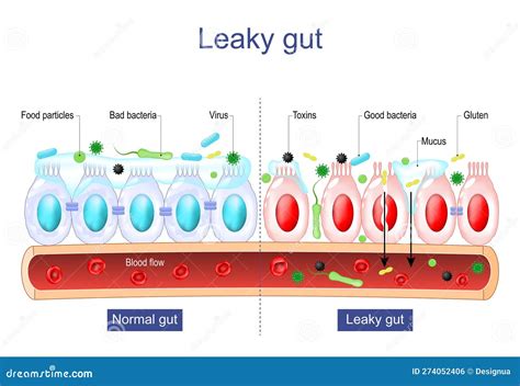  Ookinete: Un Parasito Astuto que Atraviesa Barreras Intestines y Genera Enfermedades